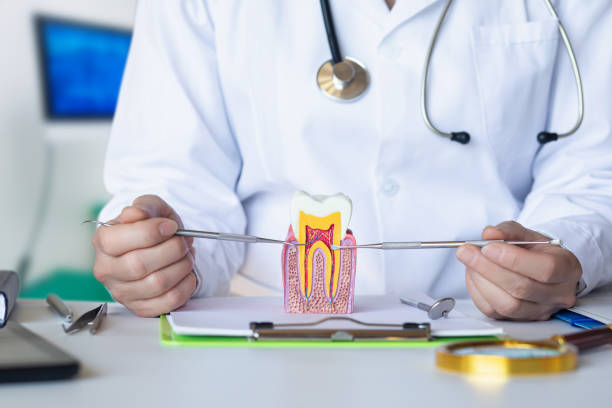 Best Emergency Tooth Extraction in Quinebaug, CT